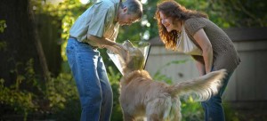 Welcome to Deerfield Veterinary Hospital! - Springfield, MO